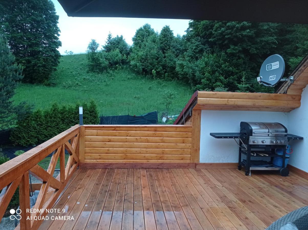 Apartamenty Sowianka ルドビコビツェ・クウォツキエ エクステリア 写真