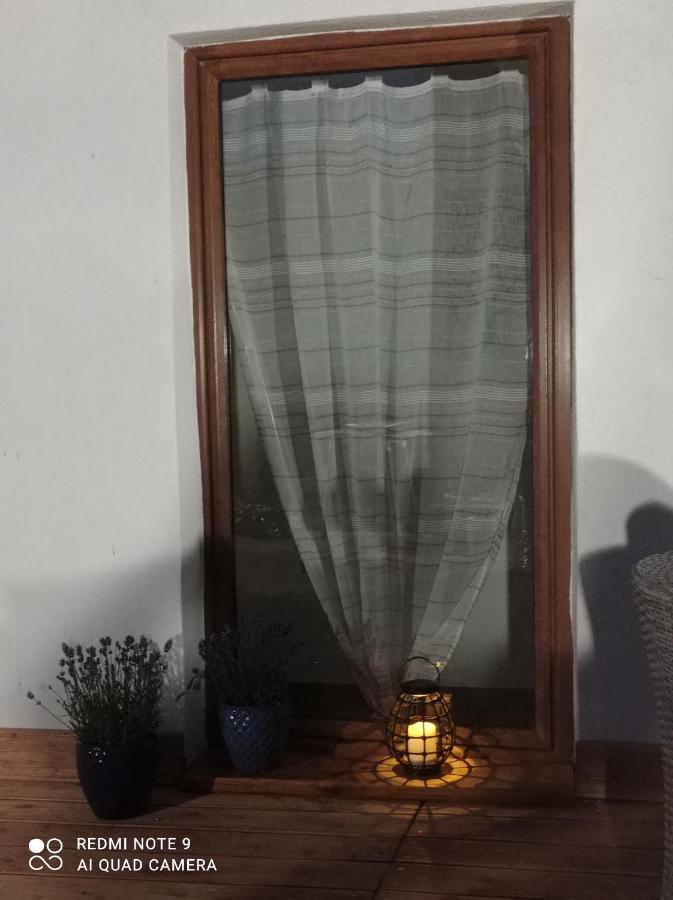Apartamenty Sowianka ルドビコビツェ・クウォツキエ エクステリア 写真
