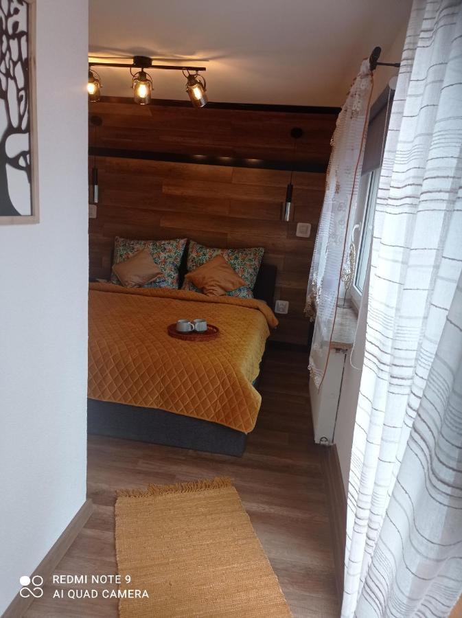 Apartamenty Sowianka ルドビコビツェ・クウォツキエ エクステリア 写真