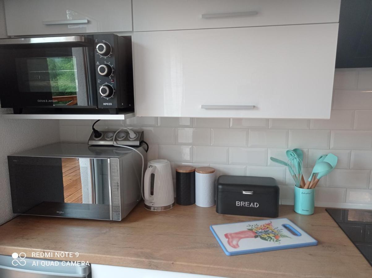 Apartamenty Sowianka ルドビコビツェ・クウォツキエ エクステリア 写真