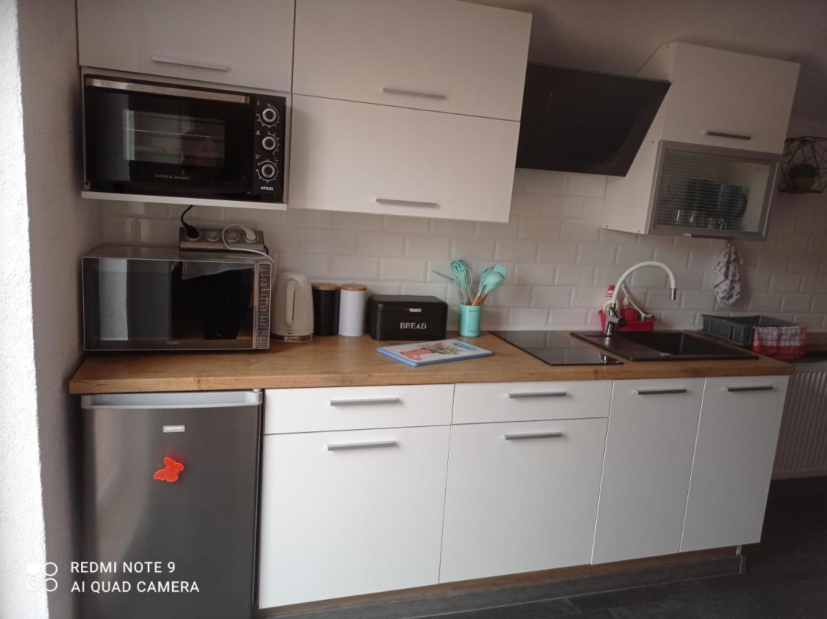 Apartamenty Sowianka ルドビコビツェ・クウォツキエ エクステリア 写真