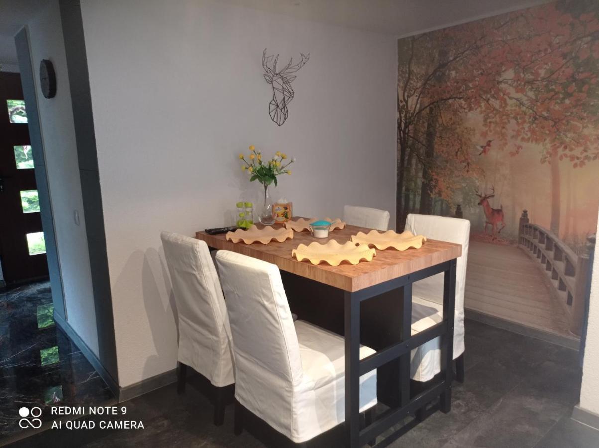 Apartamenty Sowianka ルドビコビツェ・クウォツキエ エクステリア 写真