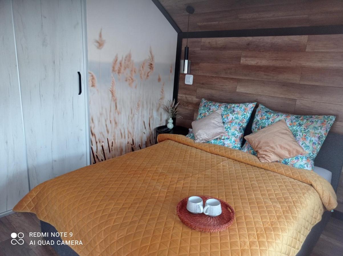 Apartamenty Sowianka ルドビコビツェ・クウォツキエ エクステリア 写真