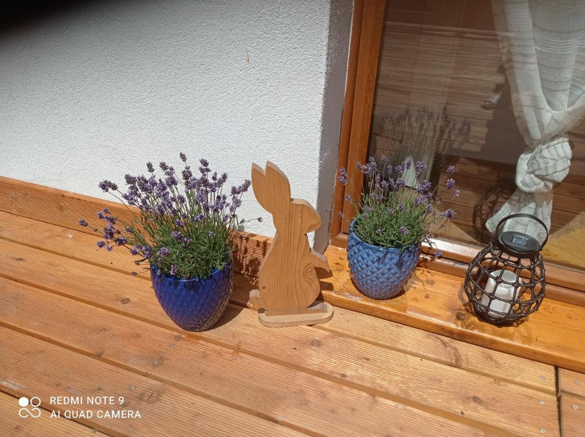 Apartamenty Sowianka ルドビコビツェ・クウォツキエ エクステリア 写真