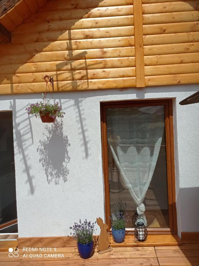 Apartamenty Sowianka ルドビコビツェ・クウォツキエ エクステリア 写真