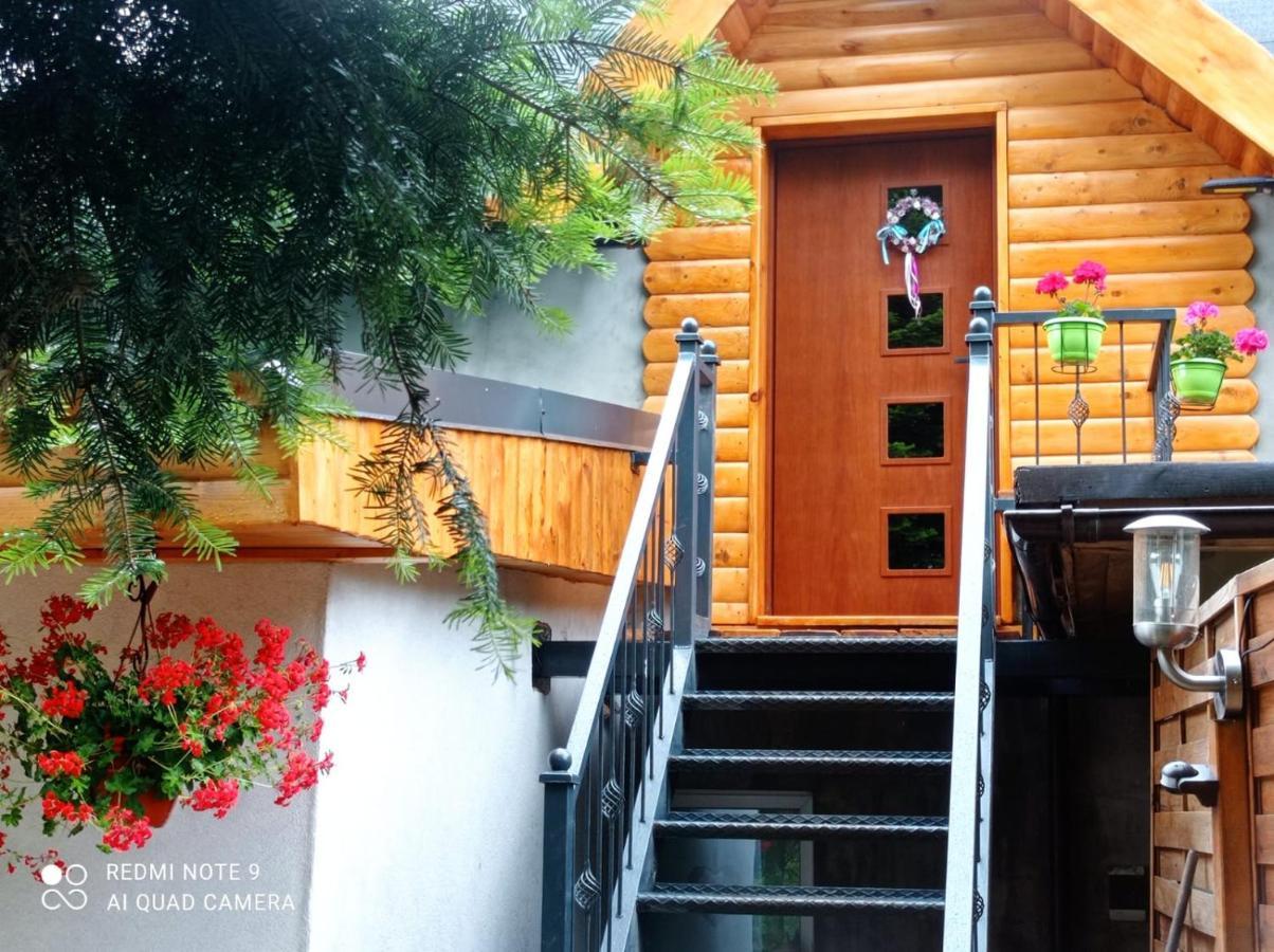 Apartamenty Sowianka ルドビコビツェ・クウォツキエ エクステリア 写真